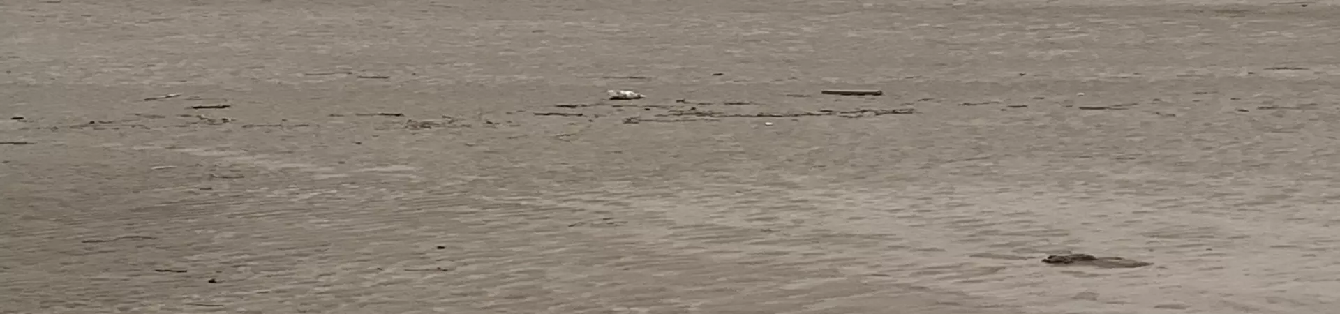 Top China Guide banner