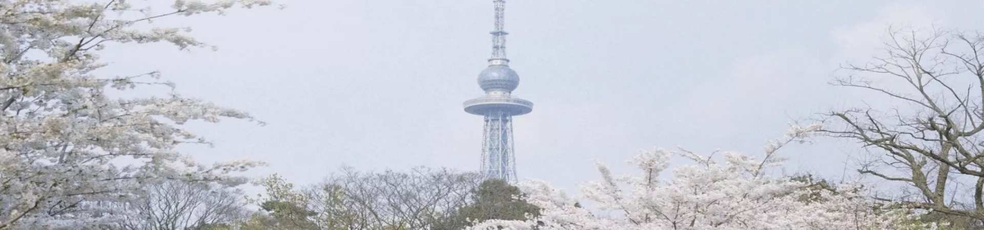 Top China Guide banner
