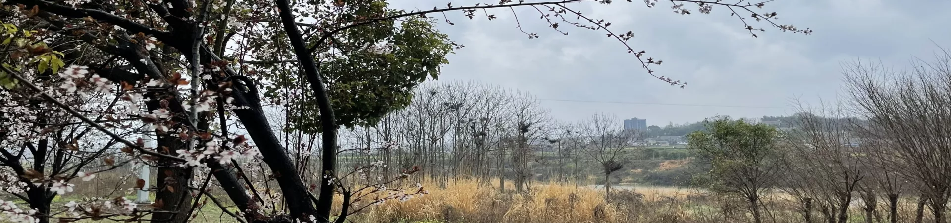 Top China Guide banner