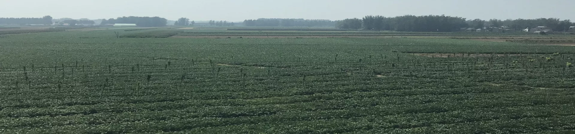 Top China Guide banner