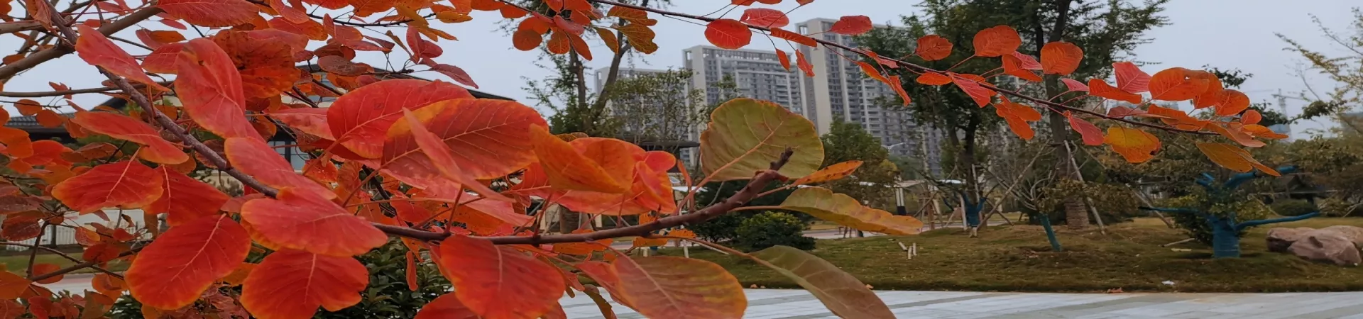 Top China Guide banner