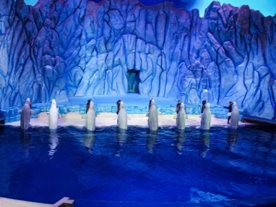 Zhuhai Chimelong Ocean Kingdom