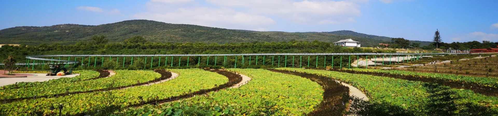 Top China Guide banner