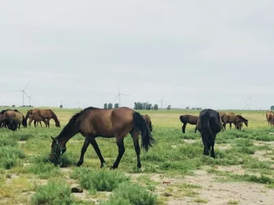 Zhurihe Grassland Tourist Area