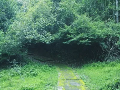 Zixi Mountain Forest Park