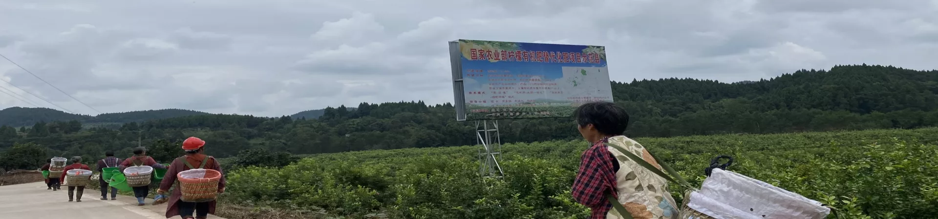 Top China Guide banner