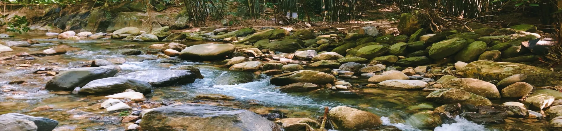 Top China Guide banner