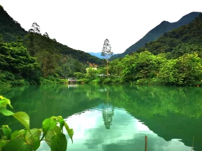 Ziyun Valley Scenic Area