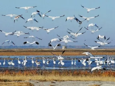 Baicheng travel guide