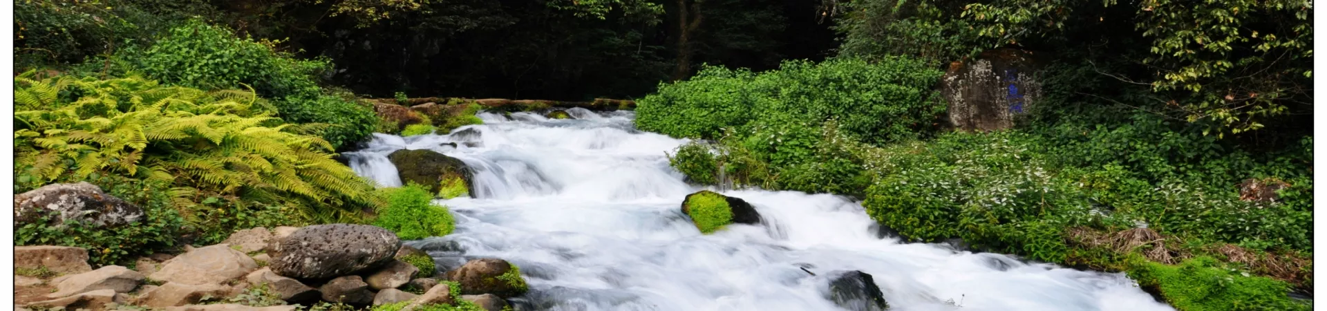 Top China Guide banner