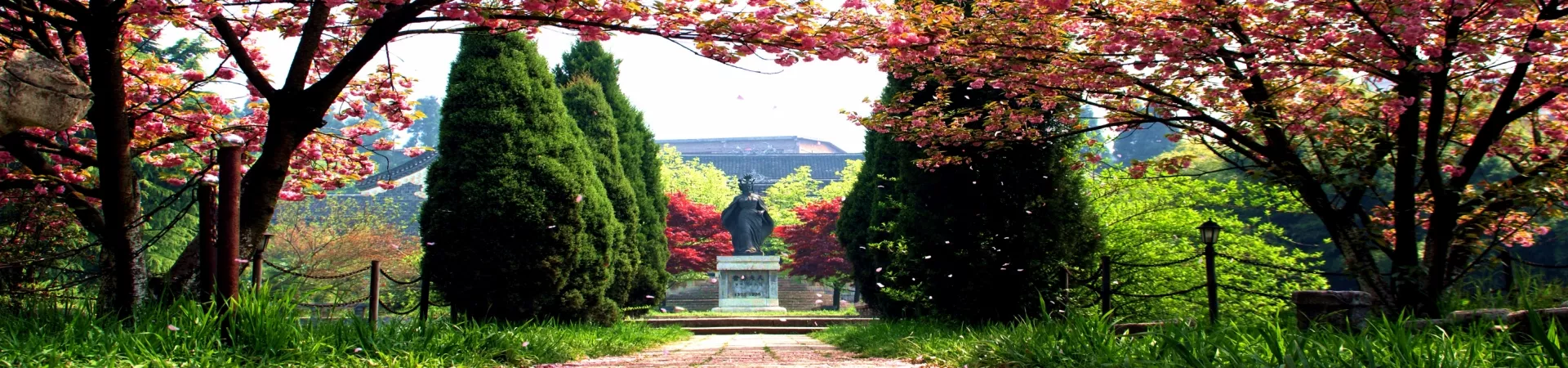 Top China Guide banner