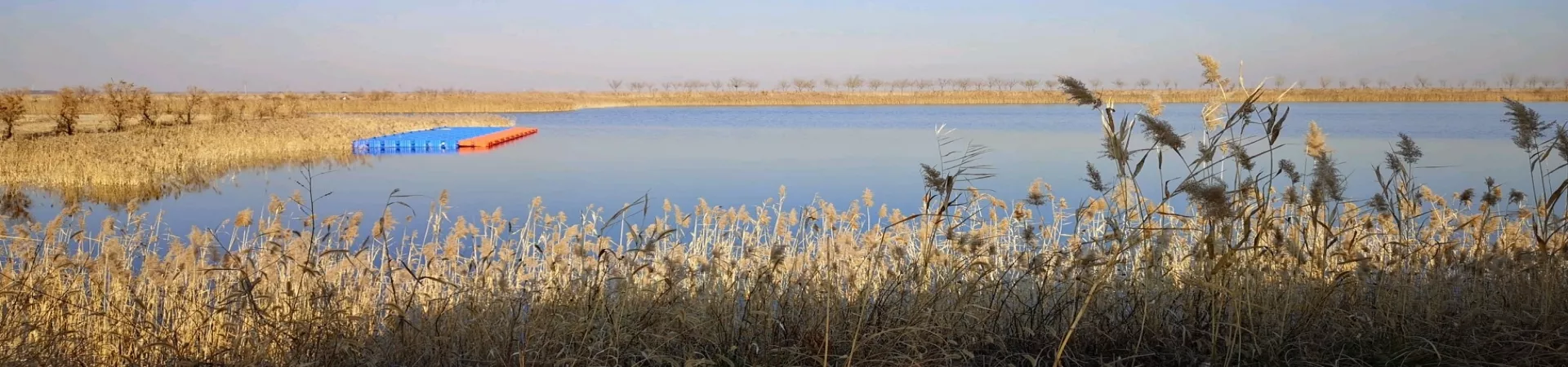 Top China Guide banner