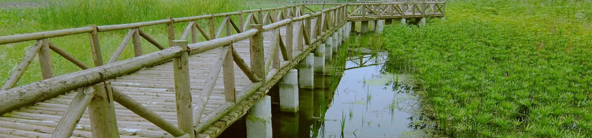 Top China Guide banner