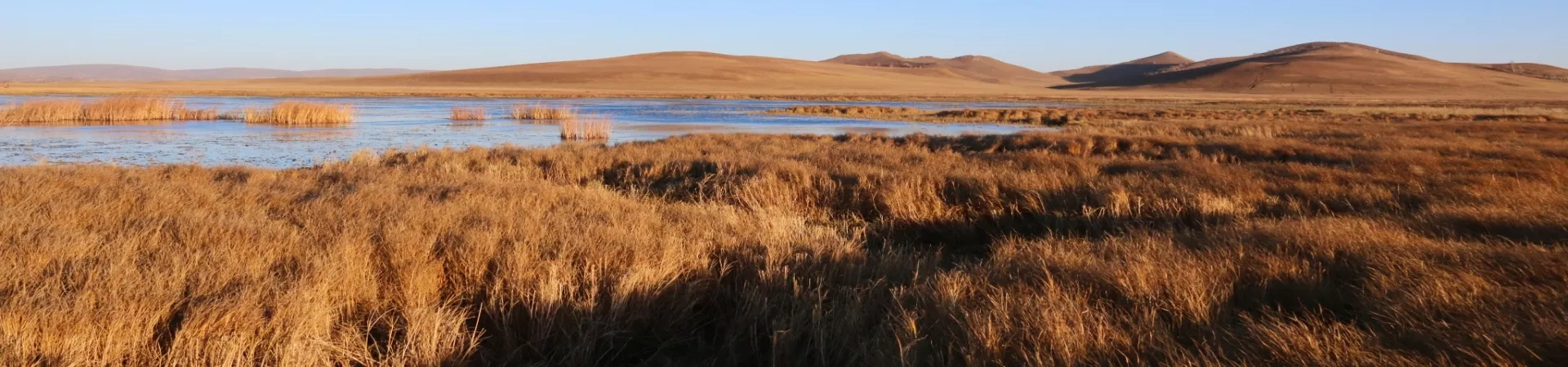 Top China Guide banner