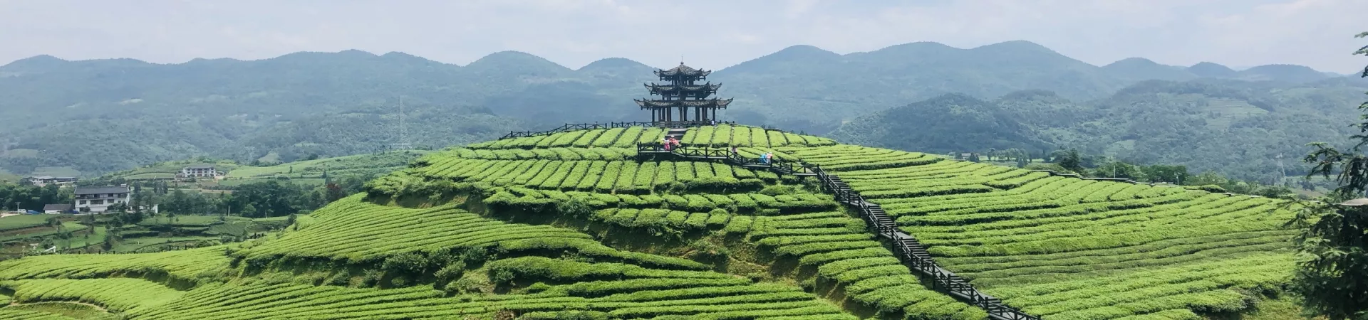 Top China Guide banner