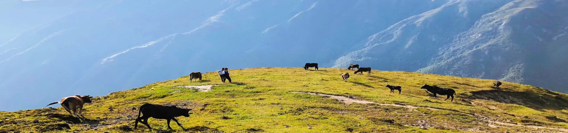 Top China Guide banner