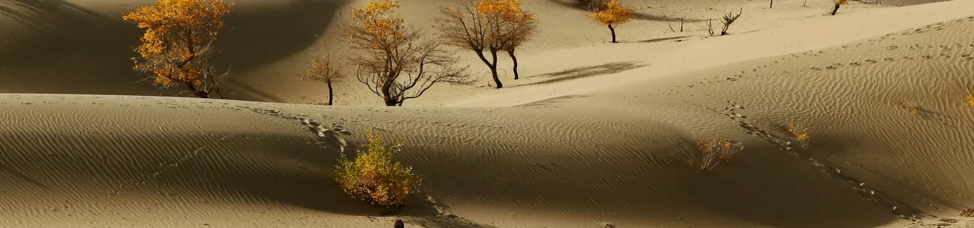 Top China Guide banner