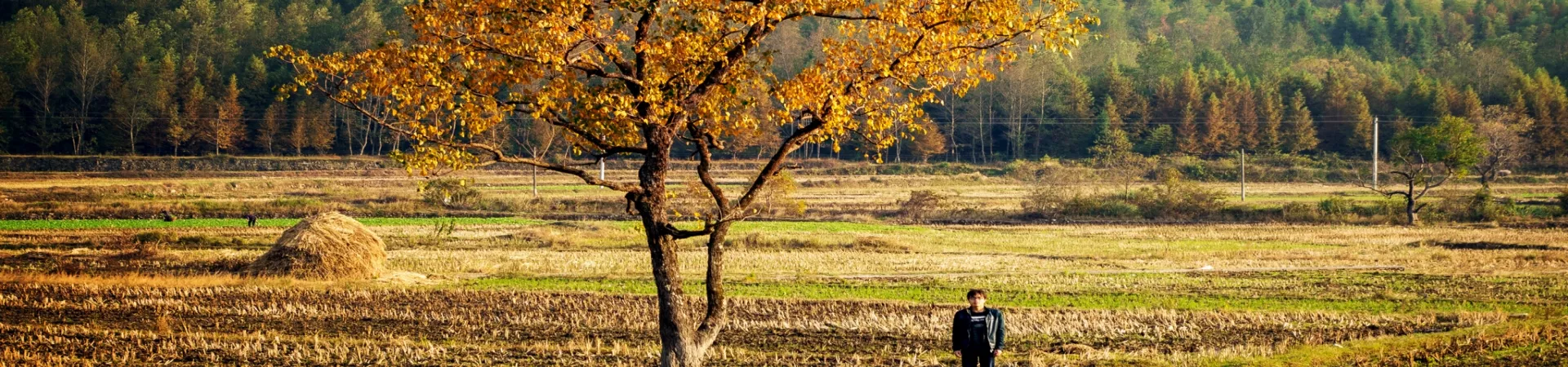 Top China Guide banner