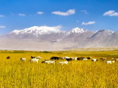 Kashgar travel guide