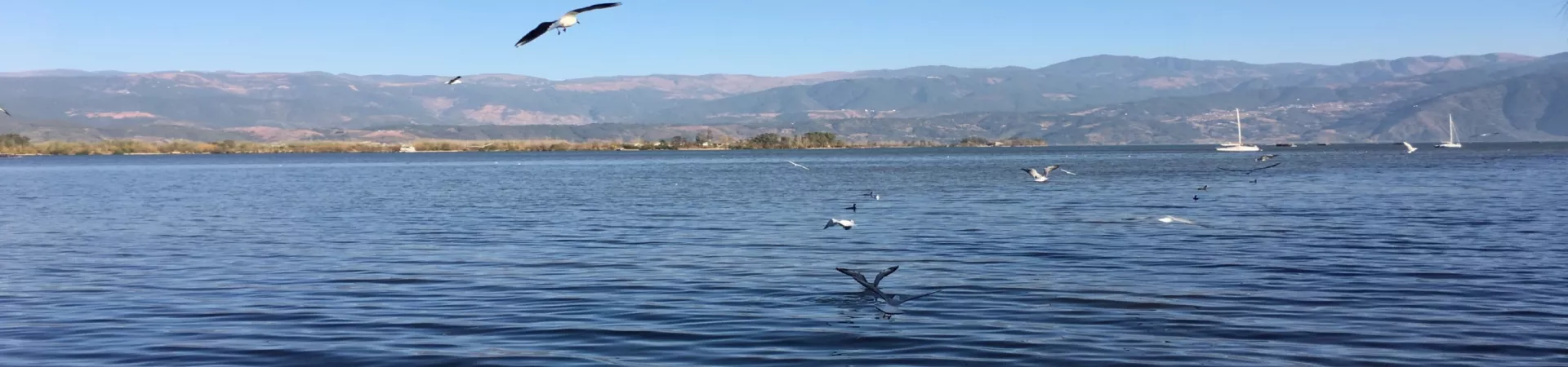 Top China Guide banner