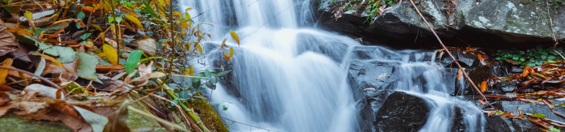 Top China Guide banner