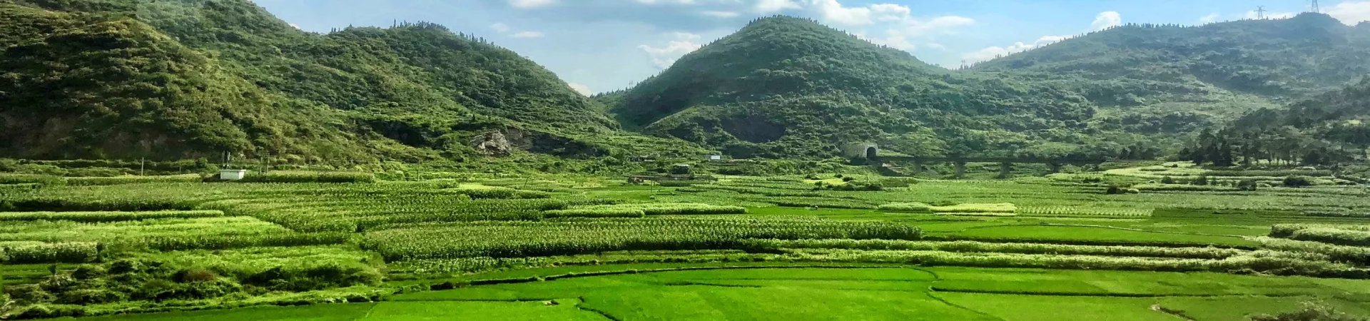 Top China Guide banner