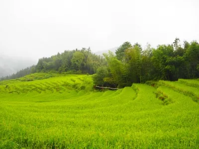 Qingyuan travel guide