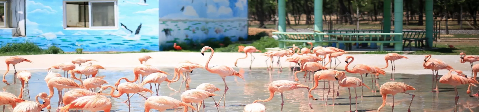 Top China Guide banner