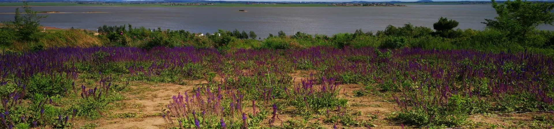 Top China Guide banner