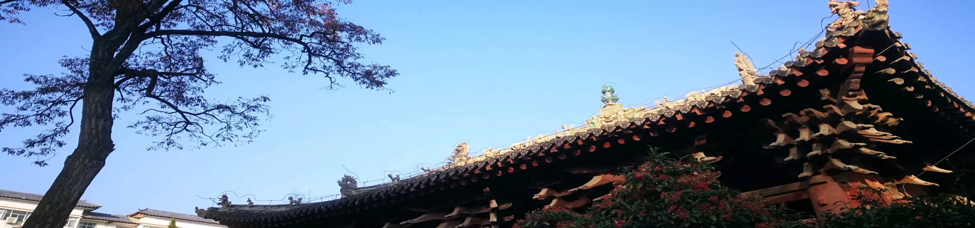 Top China Guide banner