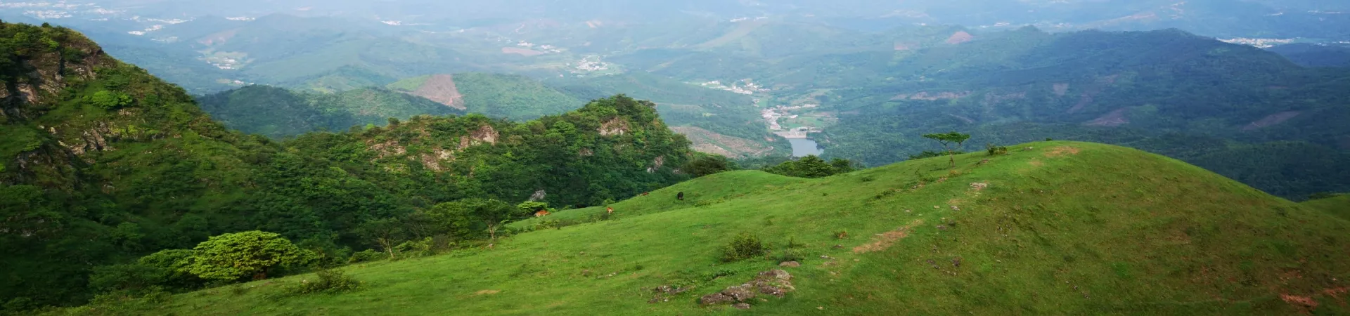 Top China Guide banner