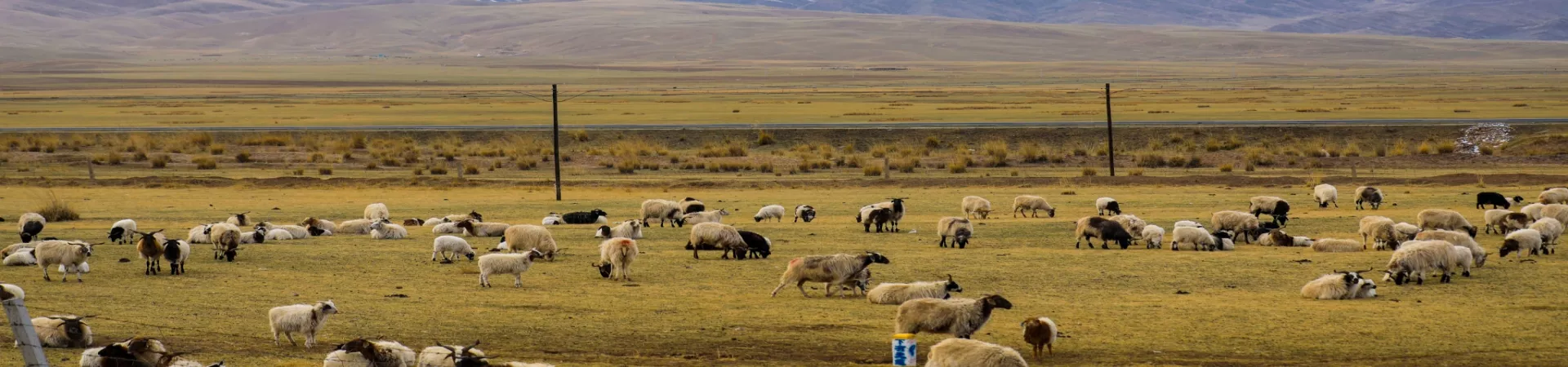 Top China Guide banner