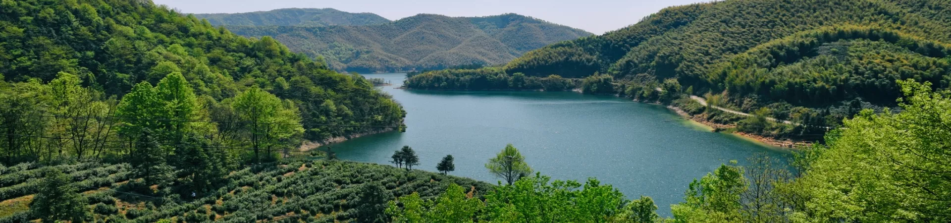 Top China Guide banner