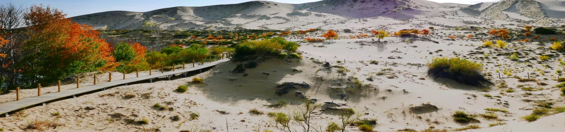 Top China Guide banner