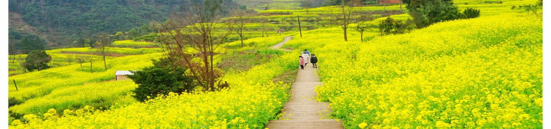 Top China Guide banner