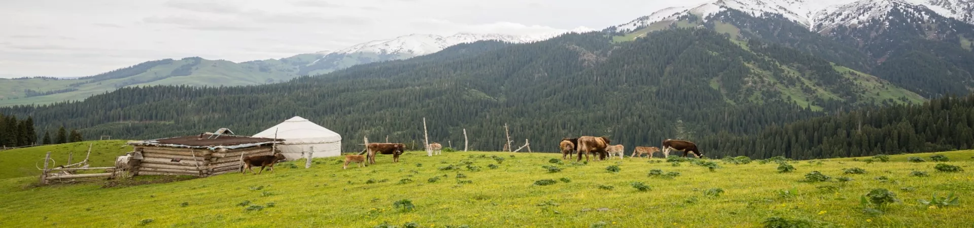 Top China Guide banner