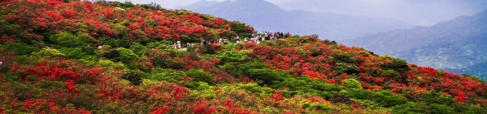 Top China Guide banner