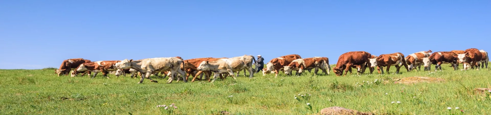 Top China Guide banner