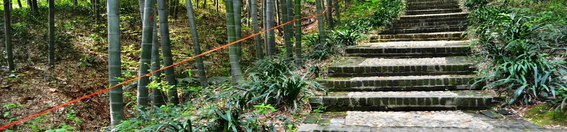 Top China Guide banner