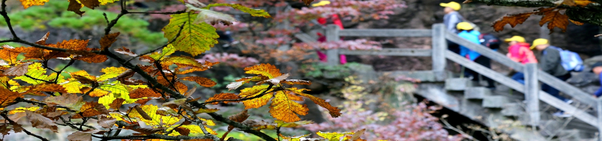 Top China Guide banner