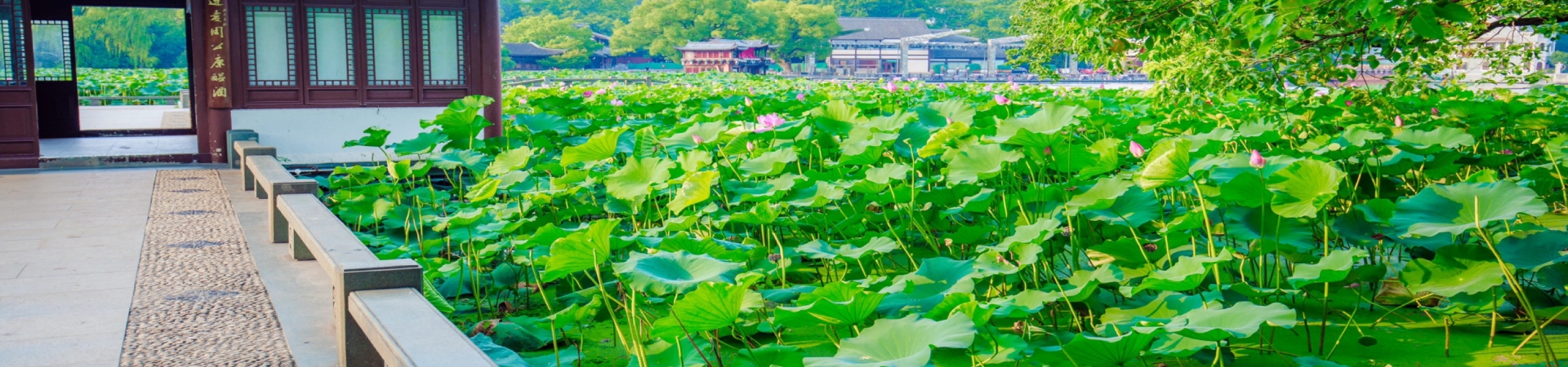 Top China Guide banner