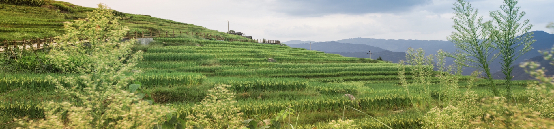 Top China Guide banner